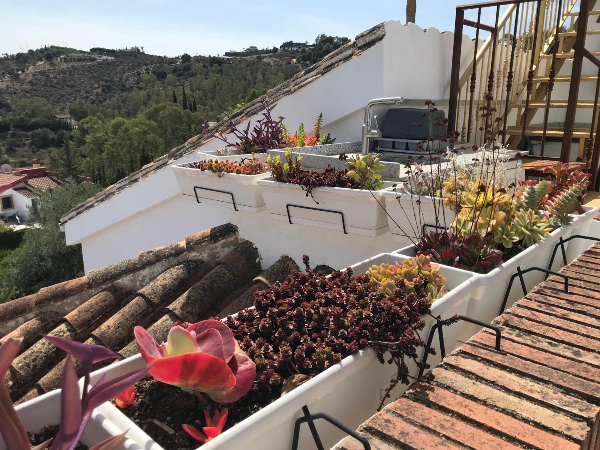 Studio Views Apartment, Cortijo Fruitful Hills Малага Экстерьер фото